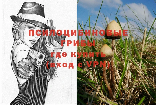 не бодяженный Балахна