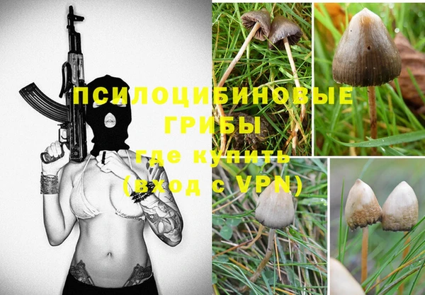 твердый Ростов