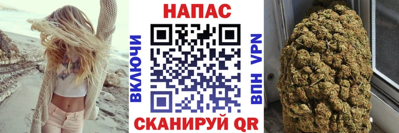 магазин    Балтийск  Каннабис OG Kush 